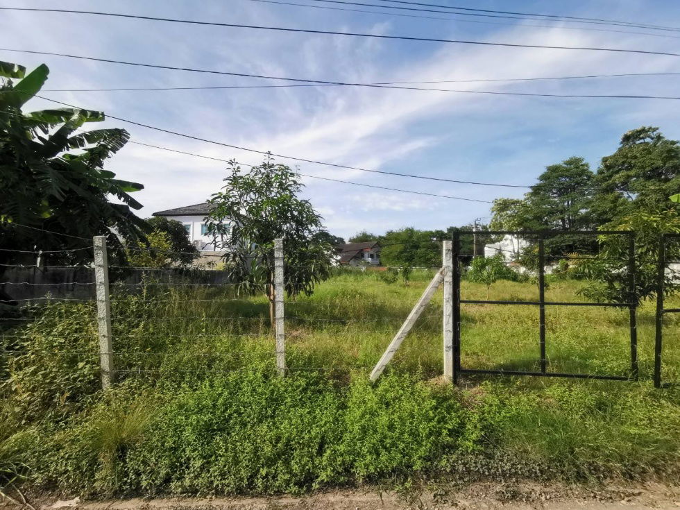 รูป ขายที่ดินเปล่า ขนาด  216 ตร.ว.  นวมินทร์ 24 (ซอยอุเทน 11) ถมแล้ว พร้อมปลูกสร้าง - รูปที่ 14/19
