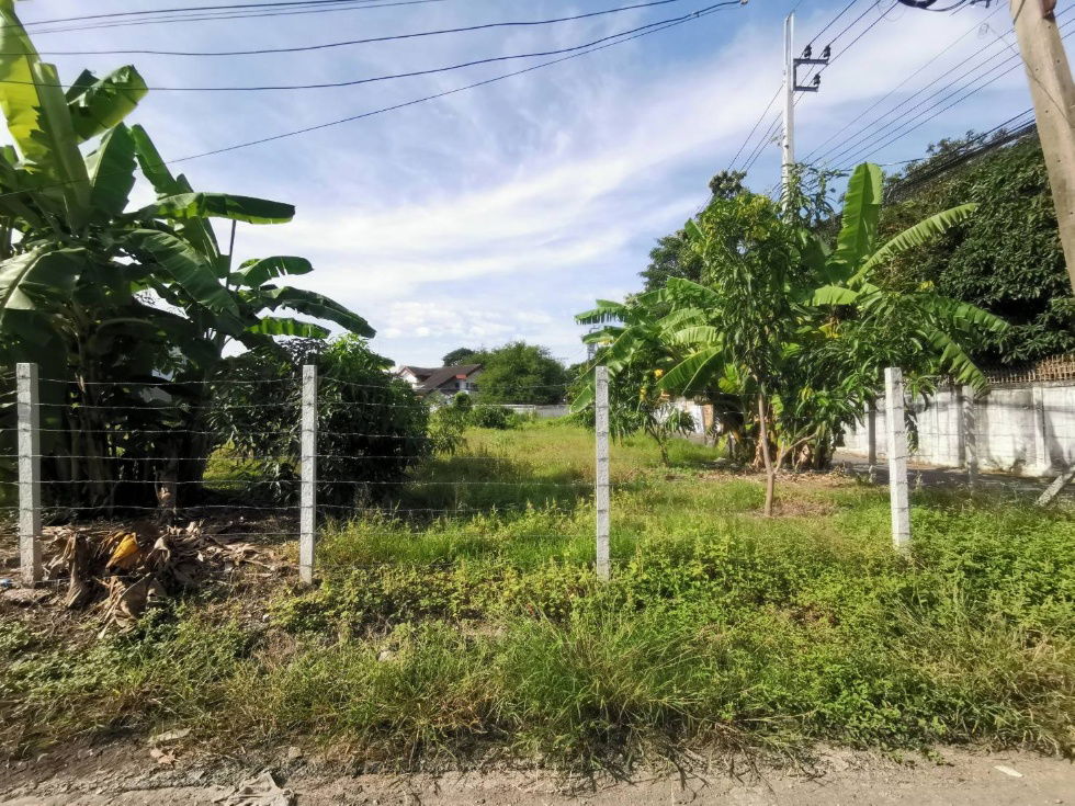 รูป ขายที่ดินเปล่า ขนาด  216 ตร.ว.  นวมินทร์ 24 (ซอยอุเทน 11) ถมแล้ว พร้อมปลูกสร้าง - รูปที่ 11/19