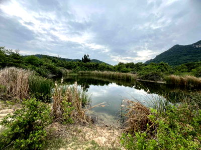 Land for sale Sam Roi Yot Prachaubkirikhan : Large plot of land for sale, area 732 rai, Sam Roi Yot District, NS3K (can be changed to NS4J)