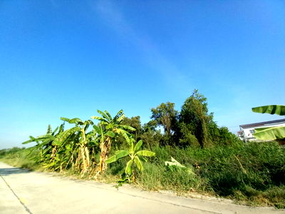 ที่ดิน ปทุมธานี : ขายที่ดิน เนื้อที่ 1 ไร่ ลำลูกกาคลอง 4 ปทุมธานี