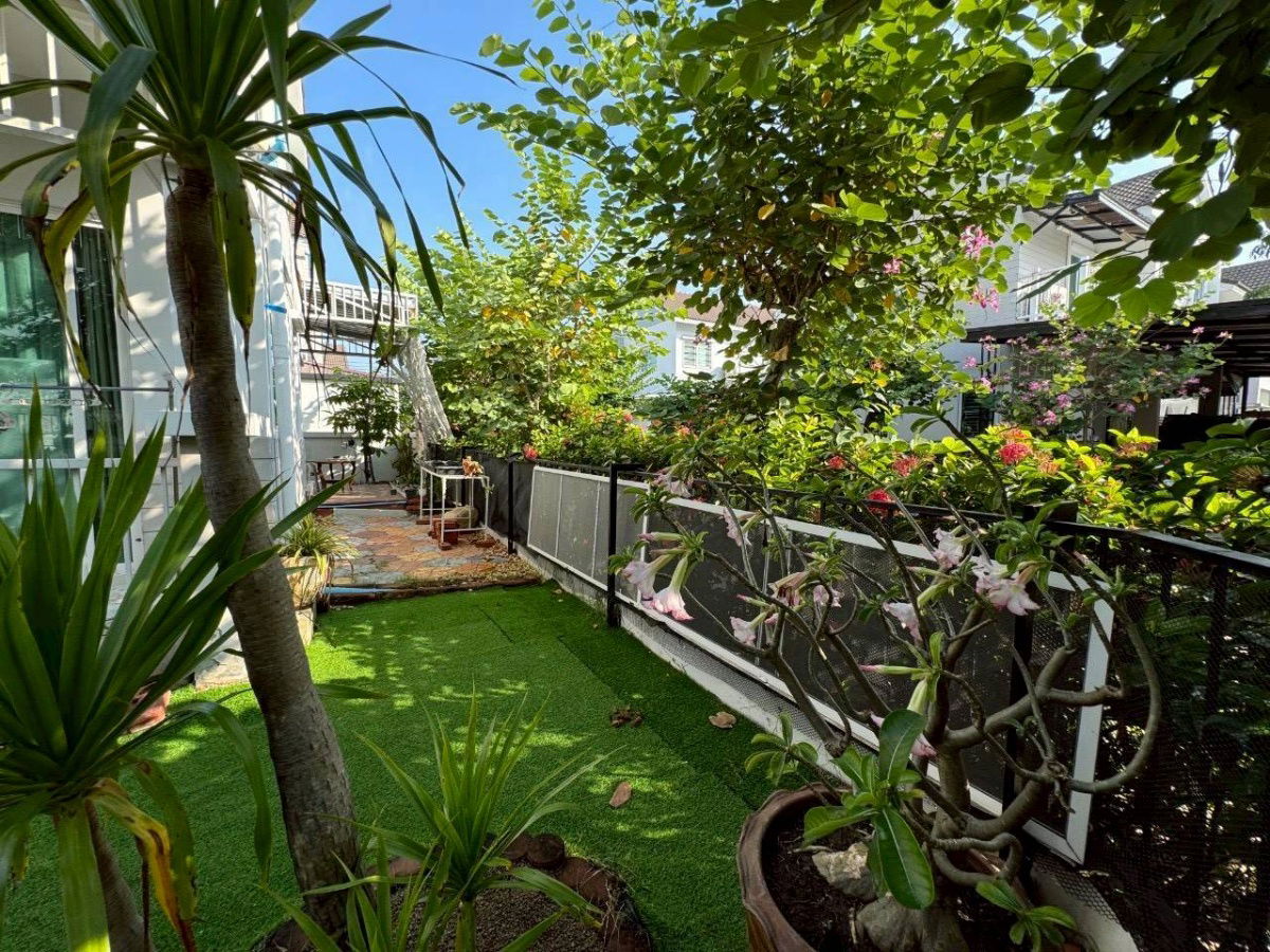 รูป ขายบ้านเดี่ยว อิคอนเนเจอร์ พระราม2-เทียนทะเล19 3 ห้องนอน 3 ห้องน้ำ 2 จอด เพียง 4.95 ล้าน - รูปที่ 3/15