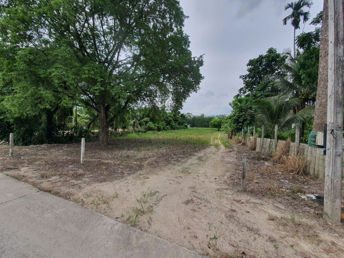 picture LAND FOR RENT GOOD FOR INVESTMENT - 3/7