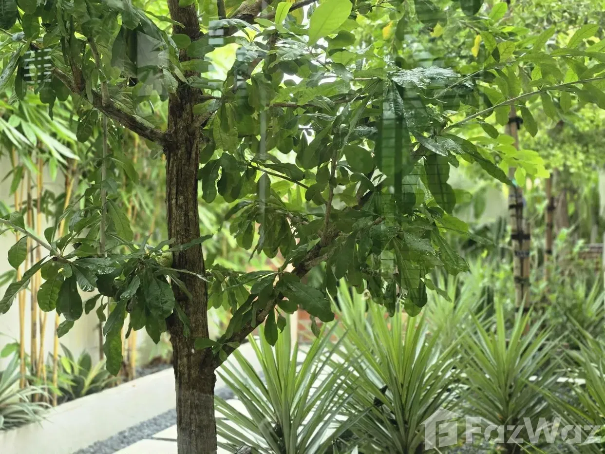 รูป ขาย วิลล่า 6 ห้องนอน ใน เชิงทะเล, ภูเก็ต 1993334 - รูปที่ 15/30