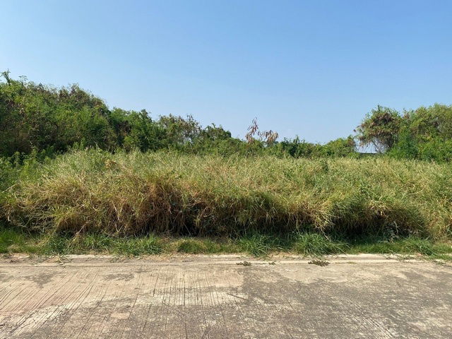 picture FOR SALE  LAND PROPERTY  3292800 BAHT. - 6/8