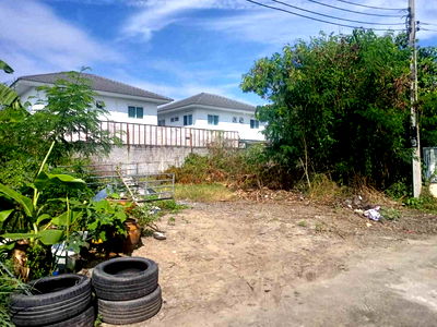 Land for sale Bang Bua Thong Nonthaburi : Land for Sale – 115 sq.w., Filled & Ready to Build, Bang Bua Thong