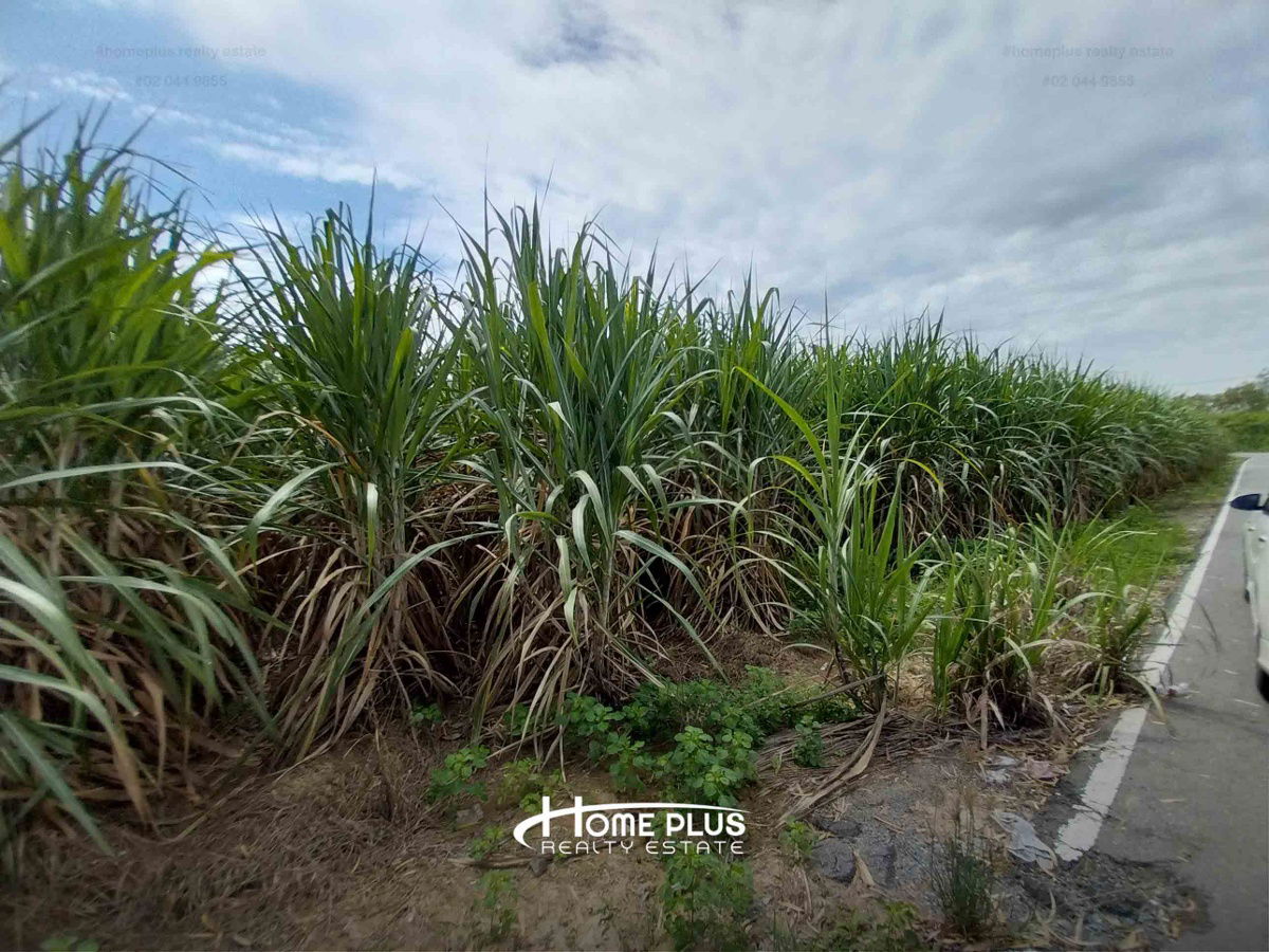 รูป ที่ดินแปลงใหญ่ทำเลดี ใกล้โรงพยาบาลกำแพงแสน เนื้อที่ 11 ไร่ 1 งาน 29 ตารางวา - รูปที่ 2/8