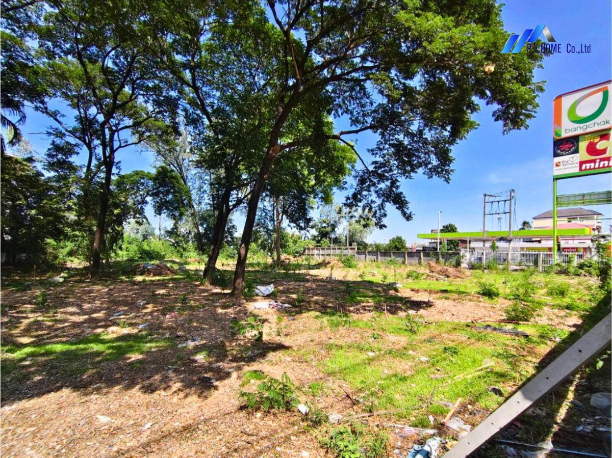 picture Land for sale, 1-3-66 Rai, Bang Phun (near Road 345 Bang Bua Thong–Bang Phun) - 1/5