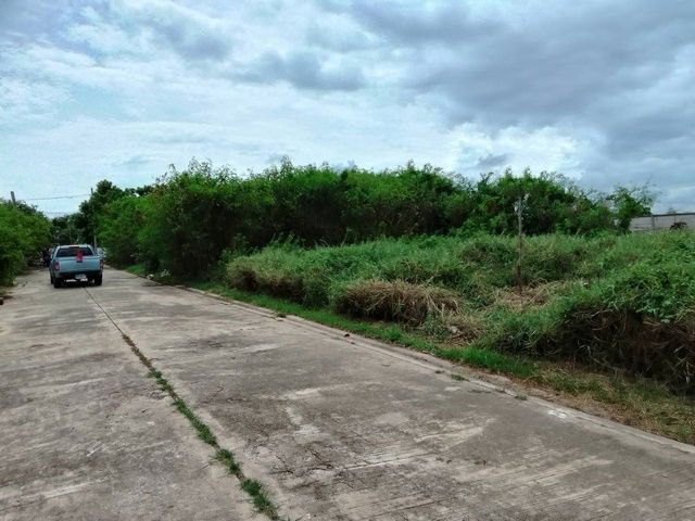 picture FOR SALE  LAND PROPERTY  3292800 BAHT. - 1/8