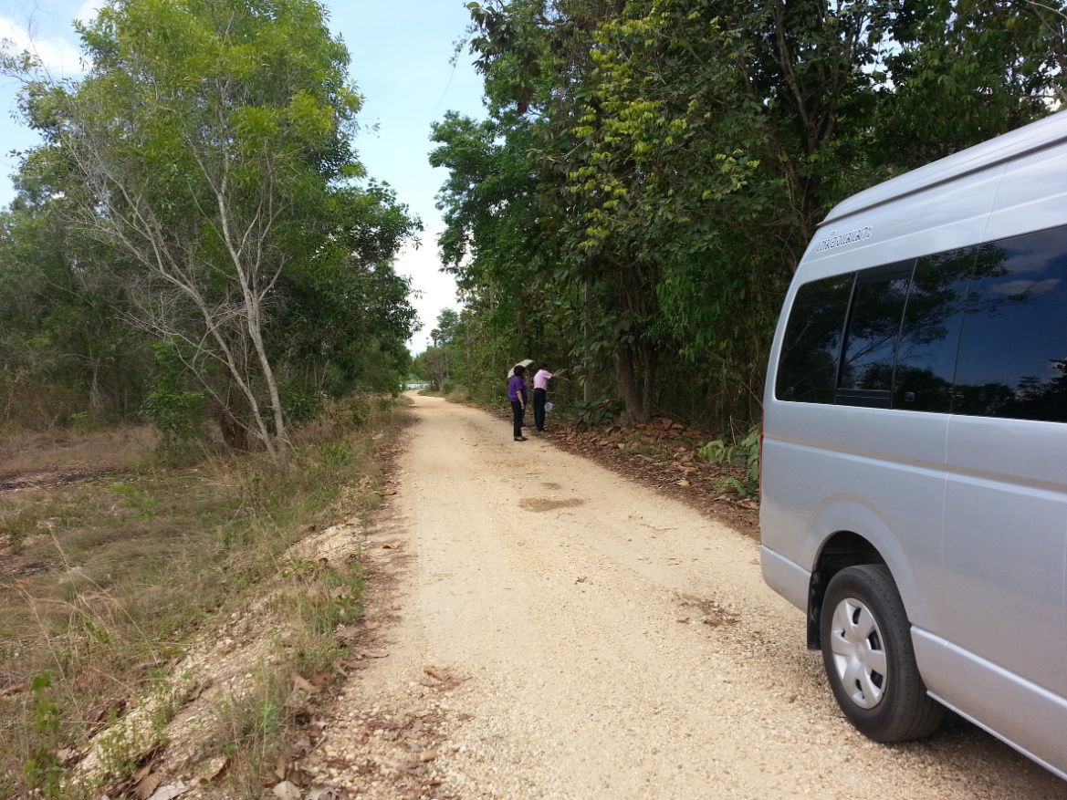 รูป ขายด่วนที่ใกล้ ม.ธรรมศาสตร์ศูนย์ลำปาง ขนาด 152 ตารางวา ต.ปงยางคก อ.ห้างฉัตร จ.ลำปาง - รูปที่ 7/8