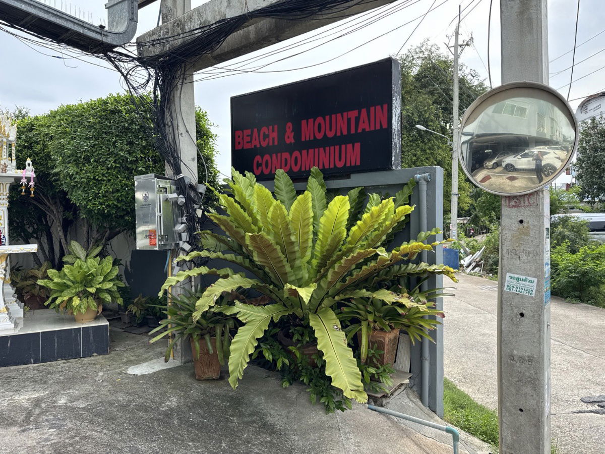 รูป BB 5463 : บีช เเอนด์ เม้าท์เทjน - รูปที่ 2/13