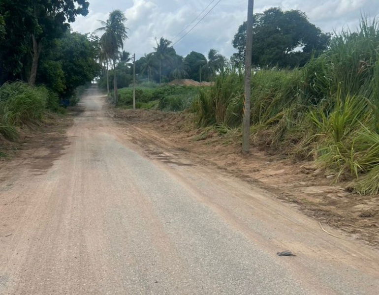 picture Beautiful land plot for sale, Bo Win, Sriracha, near Pinthong 3 Industrial Estate - 5/5