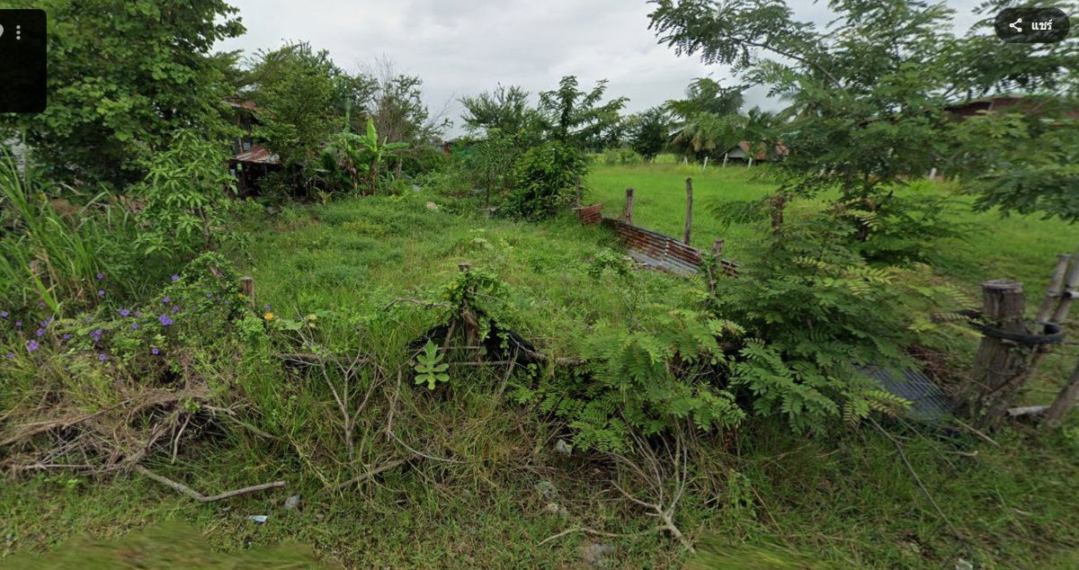 รูป ขายที่ดิน พร้อมสิ่งปลูกสร้าง ขนาด 250 ตร.วา อ.ประทาย จ.นครราชสีมา - รูปที่ 7/7