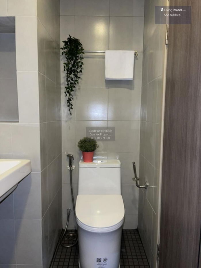 picture For Rent Condo , Elio Del Ray Sukhumvit 64 , BTS-Punnawithi , Bang Chak , Phra Khanong , Bangkok , CX-84715 ✅ Live chat with us ADD LINE @connexproperty ✅  - 9/9