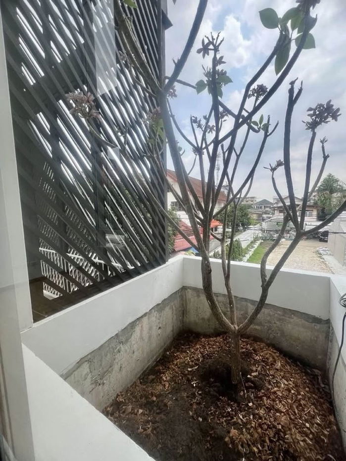 รูป เช่า ให้เช่า ปล่อยเช่า ทาวน์โฮม สุขุมวิท 93 ราคาถูก สนใจ Line: @951qfbfi - รูปที่ 23/26