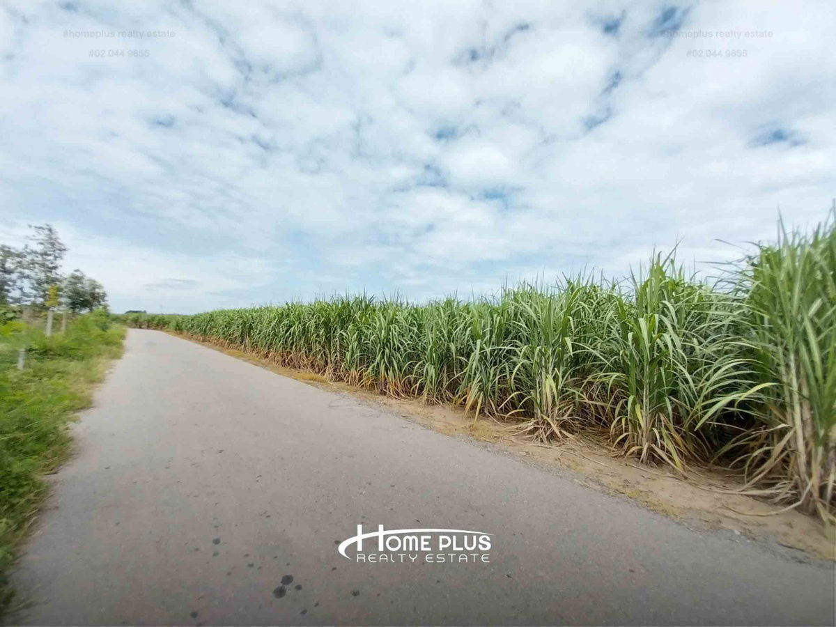 รูป ที่ดินแปลงใหญ่ทำเลดี ใกล้โรงพยาบาลกำแพงแสน เนื้อที่ 11 ไร่ 1 งาน 29 ตารางวา - รูปที่ 5/8