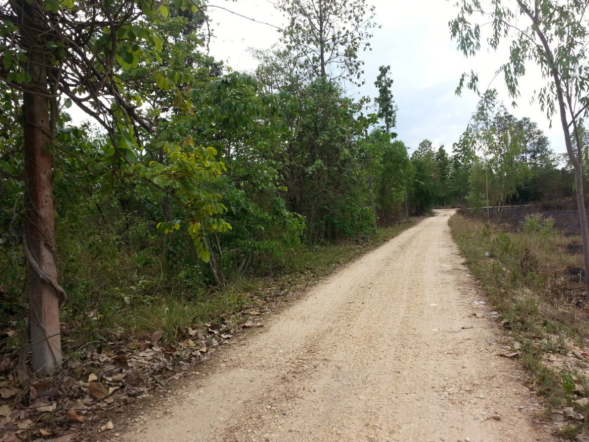 รูป ขายด่วนที่ใกล้ ม.ธรรมศาสตร์ศูนย์ลำปาง ขนาด 152 ตารางวา ต.ปงยางคก อ.ห้างฉัตร จ.ลำปาง - รูปที่ 6/8