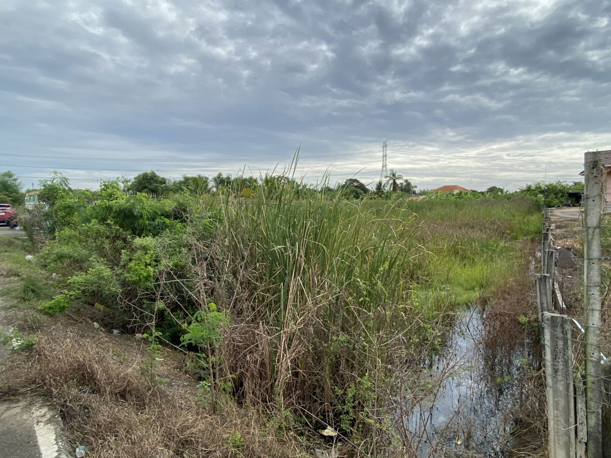 picture Land for Sale – Beautiful plot, perfect for residential development or future investment - 5/9