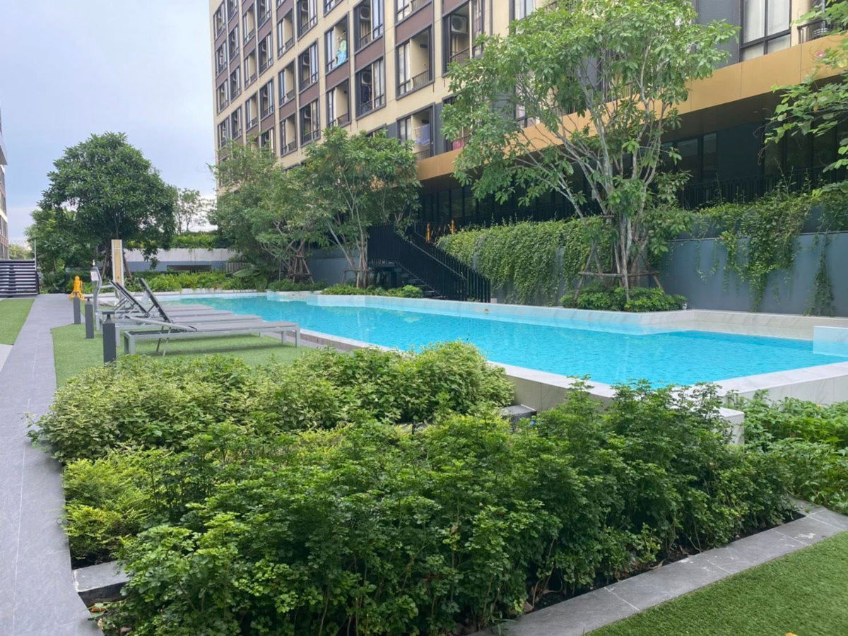 picture Sale Plum Condo Saphanmai Station - 18/18