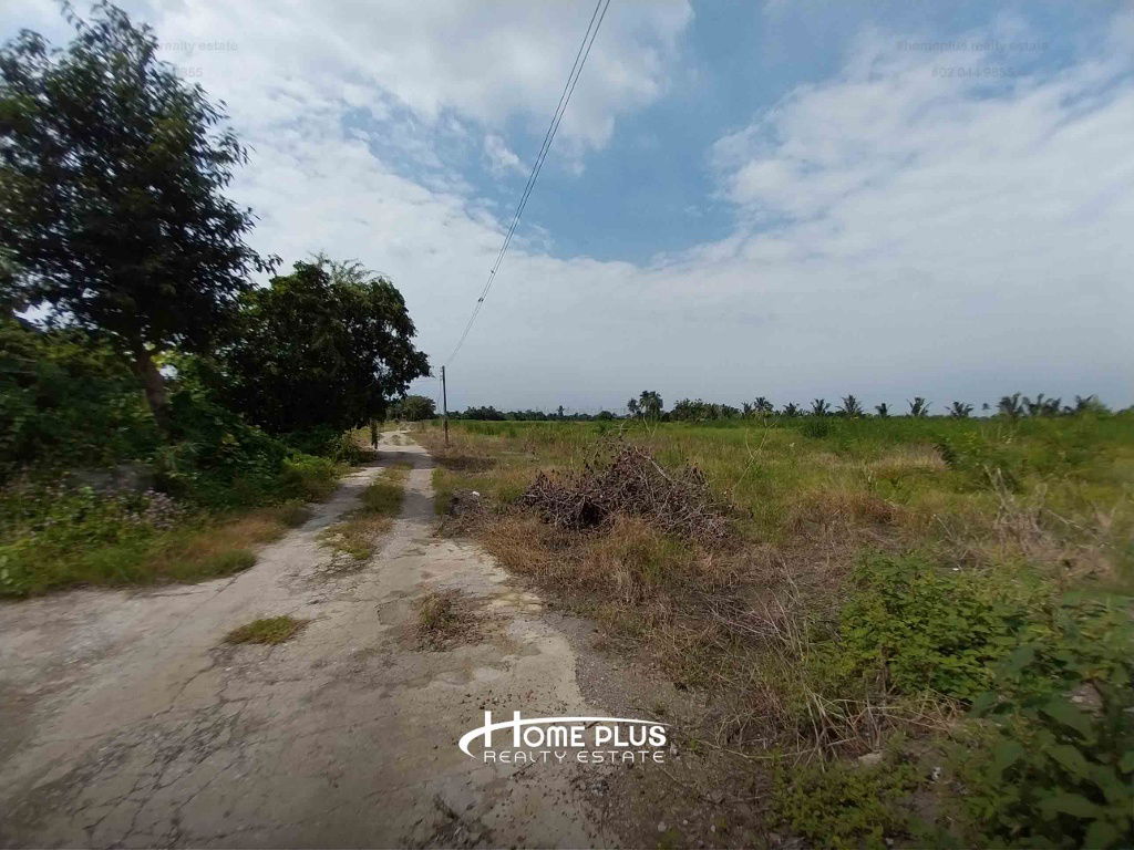 รูป ที่ดินติดถนนใหญ่เพชรเกษม เนื้อที่ 10 ไร่ 3 งาน 9.7 ตารางวา นครชัยศรี นครปฐม - รูปที่ 9/11