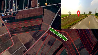 Land for sale Kamphaeng Phet : Urgent!!!....Land for sale 8-1-50 rai, next to 2-lane asphalt road.