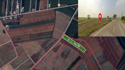 Urgent!!!....Land for sale 8-1-50 rai, next to 2-lane asphalt road.