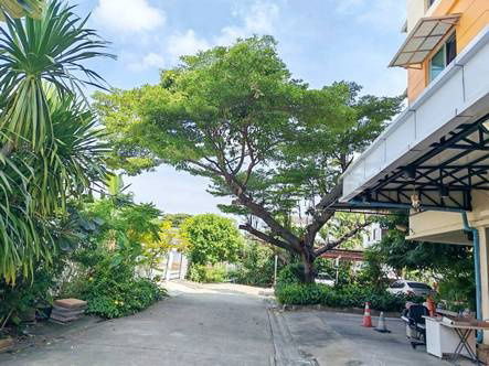 รูป 4,500บ/งามวงศ์วาน47 ให้เช่าห้องใกล้ศูนย์ราชการ โทร/Line0840709000 - รูปที่ 3/5