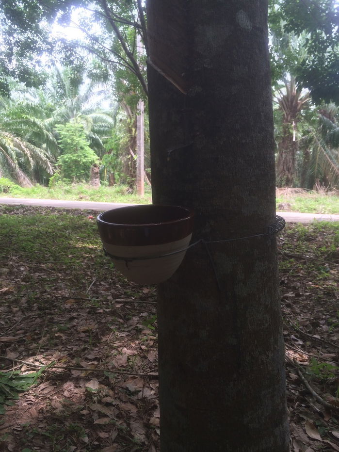 picture Rubber plantation land for sale, 103 rai, located in Khao Hua Kwai Subdistrict, Phunphin District, Surat Thani Province. Good price and negotiable - 7/19