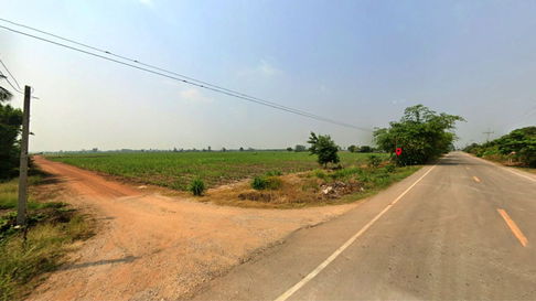 Sugarcane plantation for sale, area 113-1-80.0 rai