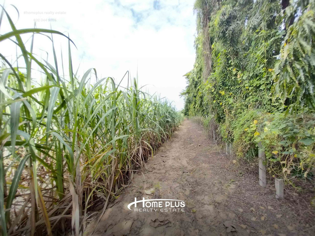 รูป ที่ดินแปลงใหญ่ทำเลดี ใกล้โรงพยาบาลกำแพงแสน เนื้อที่ 11 ไร่ 1 งาน 29 ตารางวา - รูปที่ 6/8