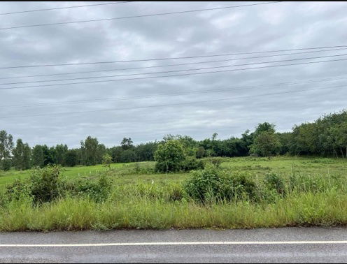 picture Land for rent: 32 rai, 2 ngan, and 60 square wah, located in Kham Ta Kla Subdistrict, Kham Ta Kla District, Bueng Kan Province. - 5/7