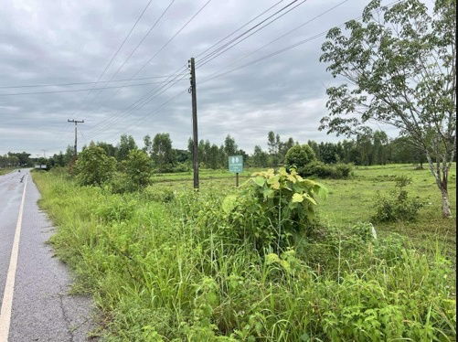 picture Land for rent: 32 rai, 2 ngan, and 60 square wah, located in Kham Ta Kla Subdistrict, Kham Ta Kla District, Bueng Kan Province. - 2/7