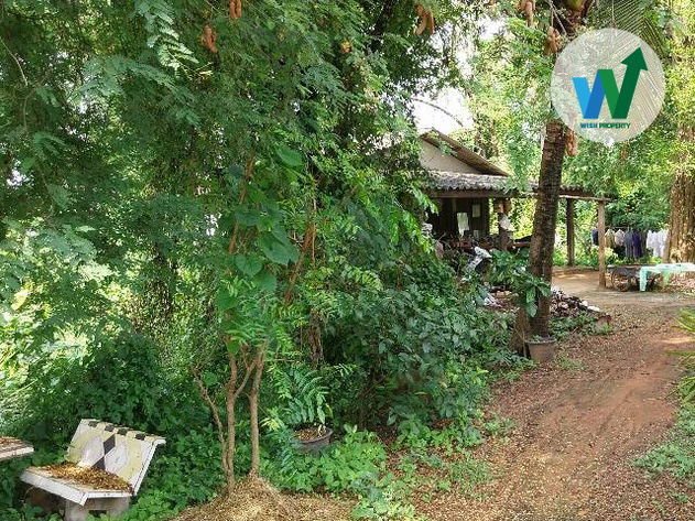 picture For Sale Land At Soi Don Du Monastery Khon Kaen Bypass Road Thailand - 6/9