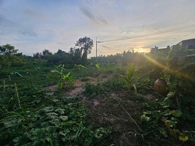 รูป TD1004 ขายที่ดินแปลงงาม : เพชรเกษม 77 รุงเทพมหานคร - รูปที่ 5/8