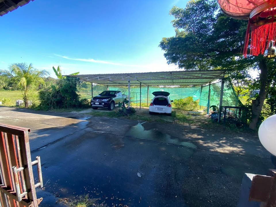 picture Single storey house for rent with 4 bedrooms,2 toilets and 1 kitchen. - 19/20