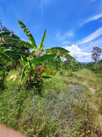 picture FOR SALE  LAND PROPERTY  13900000 BAHT. - 5/8