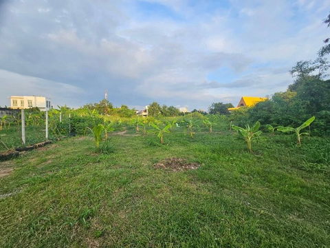 FOR SALE  LAND PROPERTY  6859000 BAHT.