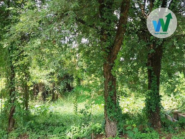 picture For Sale Land At Soi Don Du Monastery Khon Kaen Bypass Road Thailand - 5/9