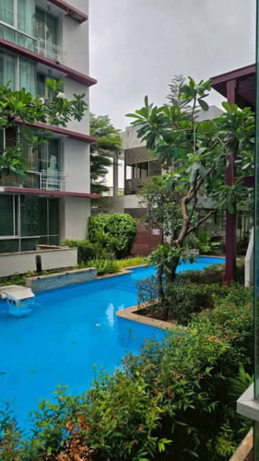 รูป ขายคอนโด ดิ ไอริส อาคารD 57.65 ตรม. ถ.ศรีนครินทร์ ชั้น1 - รูปที่ 12/14