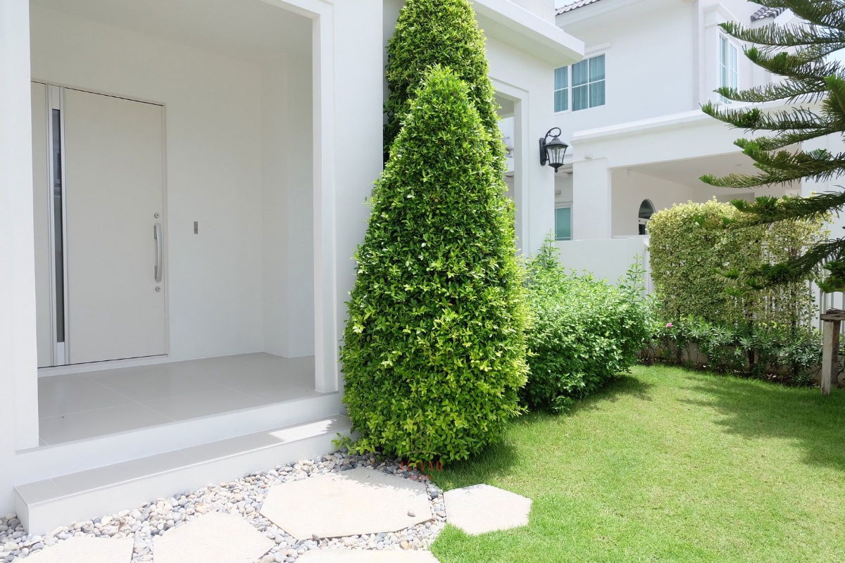 picture RH112225 For rent, 2-storey detached house, 3 bedrooms at Chaiyaphruek Bangna, Km. 15, near Suvarnabhumi Airport. - 3/23