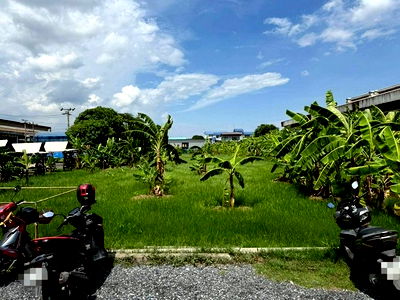 Land for rent Suwannaphum International Airport : FOR RENT  LAND PROPERTY  122500 BAHT per MONTH