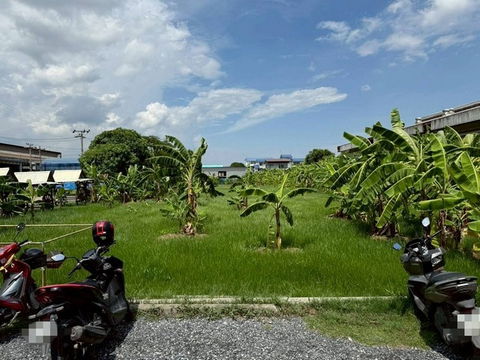FOR RENT  LAND PROPERTY  122500 BAHT per MONTH