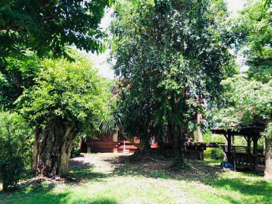 picture FOR SALE  LAND PROPERTY  10900000 BAHT. - 4/8