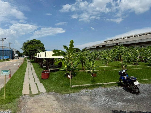 picture FOR RENT  LAND PROPERTY  122500 BAHT per MONTH - 3/8