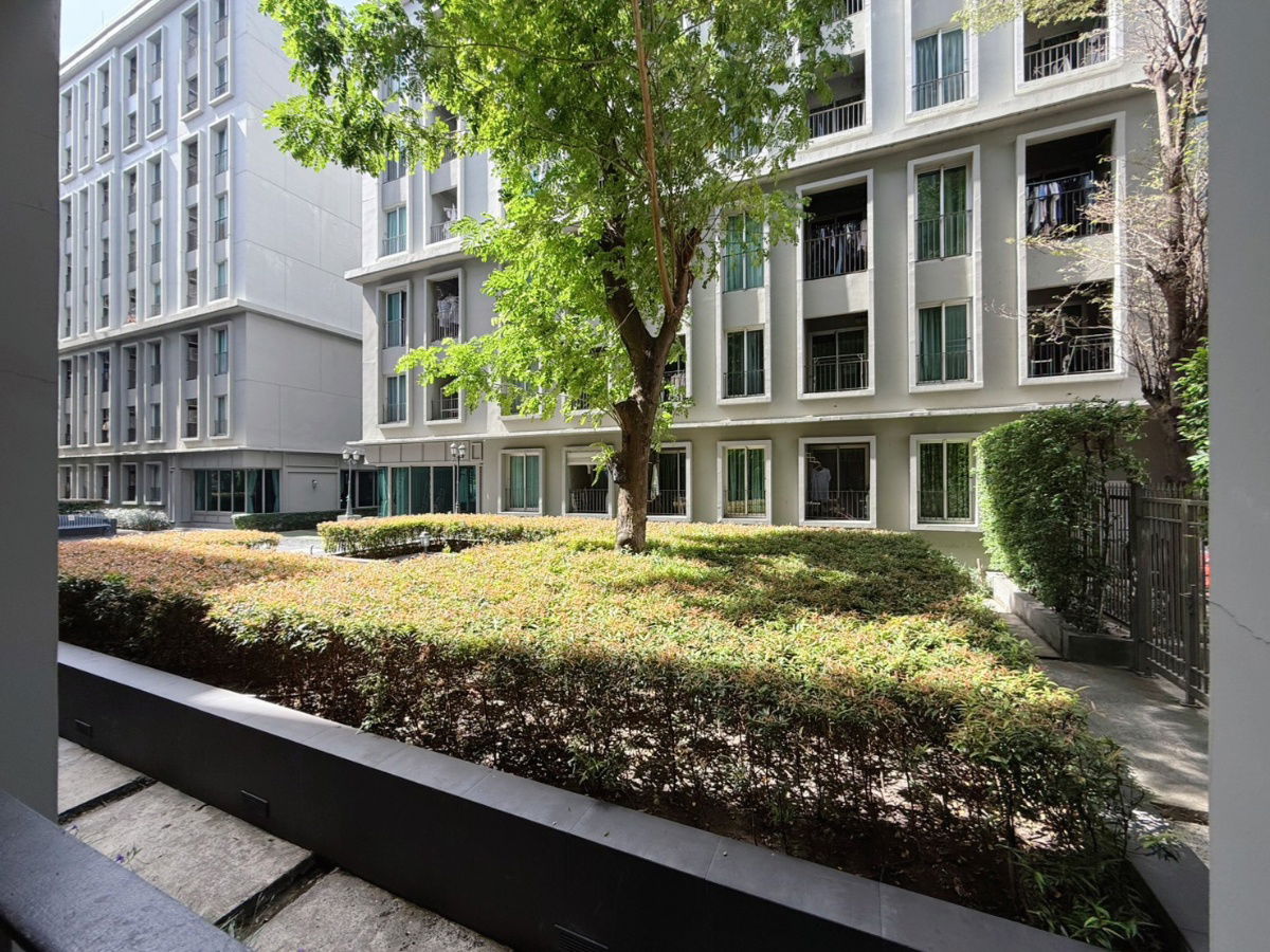 picture For rent Chapter One The Campus Kaset - 8/15