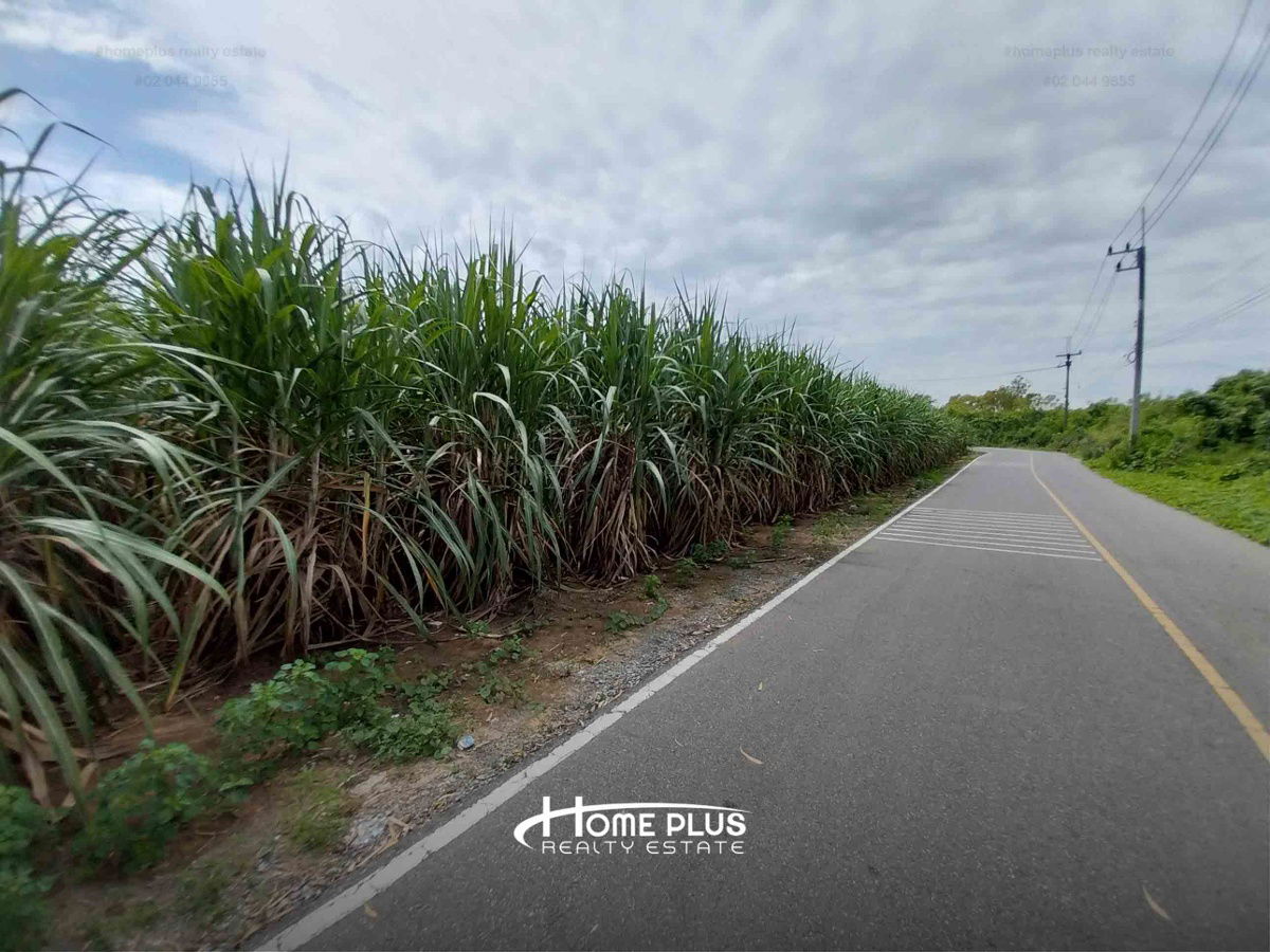 รูป ที่ดินติดโรงพยาบาลกำแพงแสน นครปฐม เนื้อที่ 5 ไร่ 2 งาน 46 ตารางวา - รูปที่ 3/6