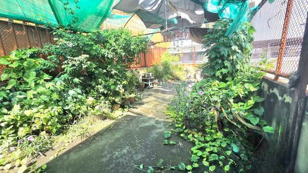 รูป อาคารพาณิชย์ 4 ชั้น ซอยเพชรเกษม 93 ใกล้ตลาดอ้อมน้อย - รูปที่ 13/14