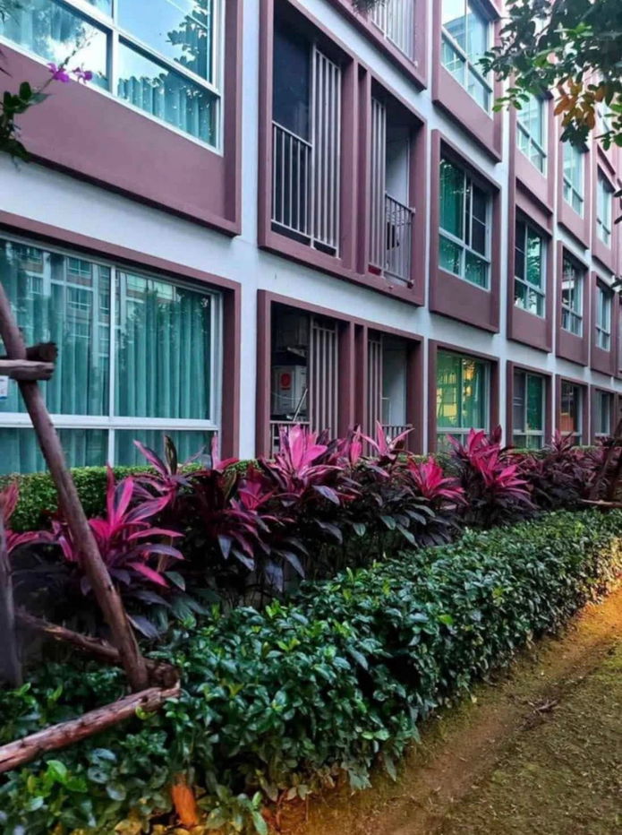 picture For Rent – D Condo Ping (Building A, 1st Floor, Private Room, Pool View) - 10/13