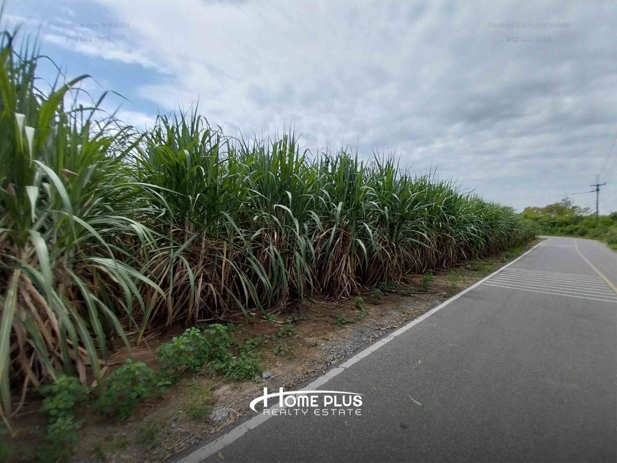 รูป ที่ดินติดโรงพยาบาลกำแพงแสน นครปฐม เนื้อที่ 5 ไร่ 2 งาน 46 ตารางวา - รูปที่ 2/6