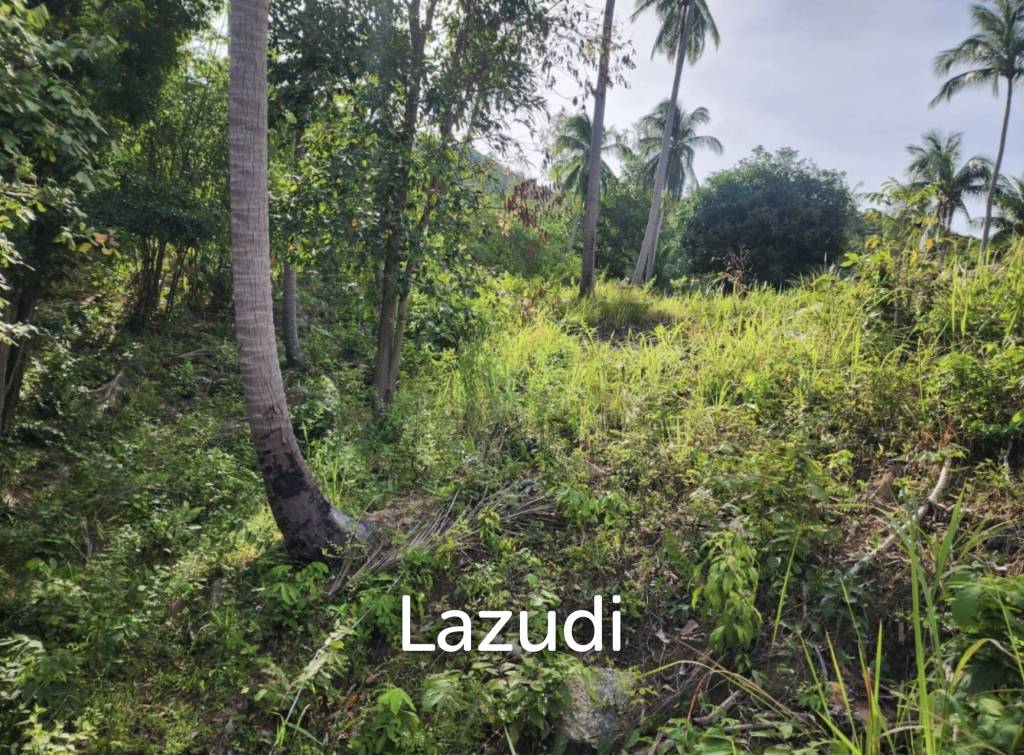 picture Exceptional Beachfront Land – Koh Phangan Private Sandy Beach - 5/7