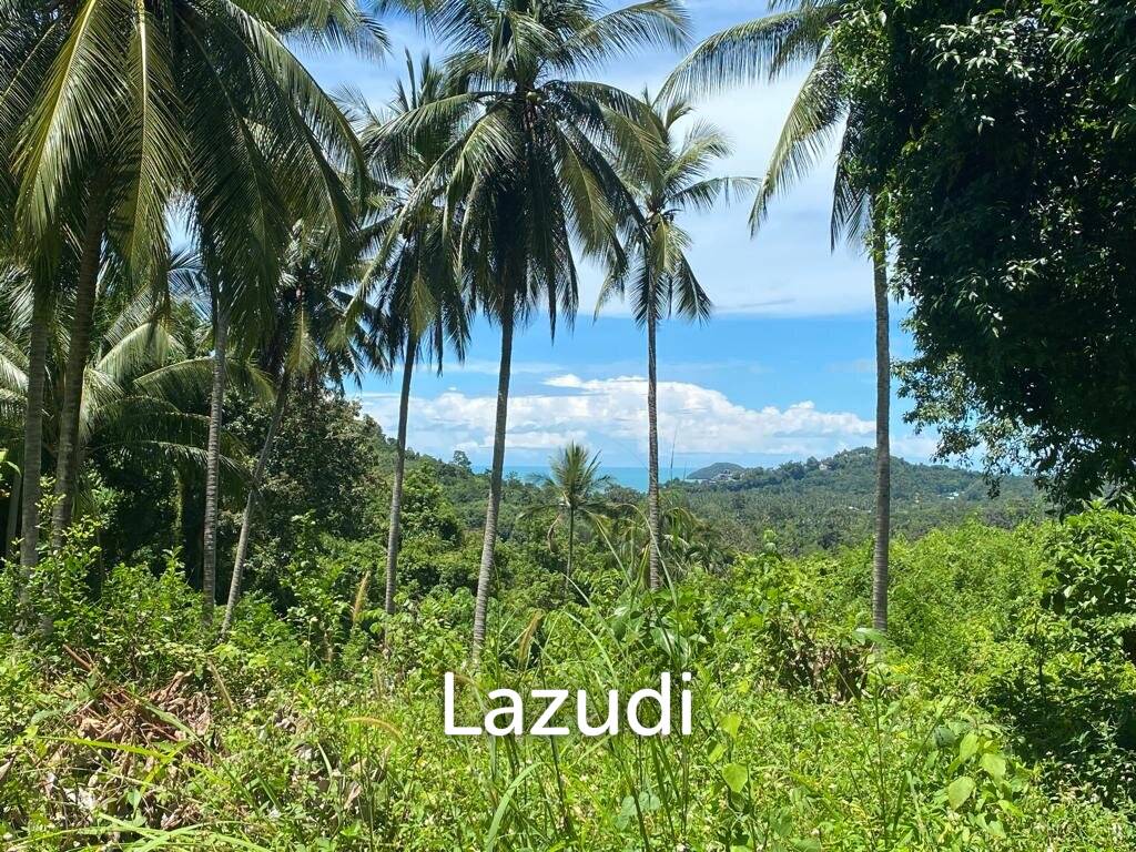 รูป Seaside Sanctuary: 6,800 Sqm of Paradise with Road Access and Electricity in South Samui - รูปที่ 1/6